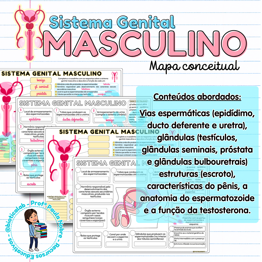 Sistema Genital Masculino – PDF para Imprimir — capa do material