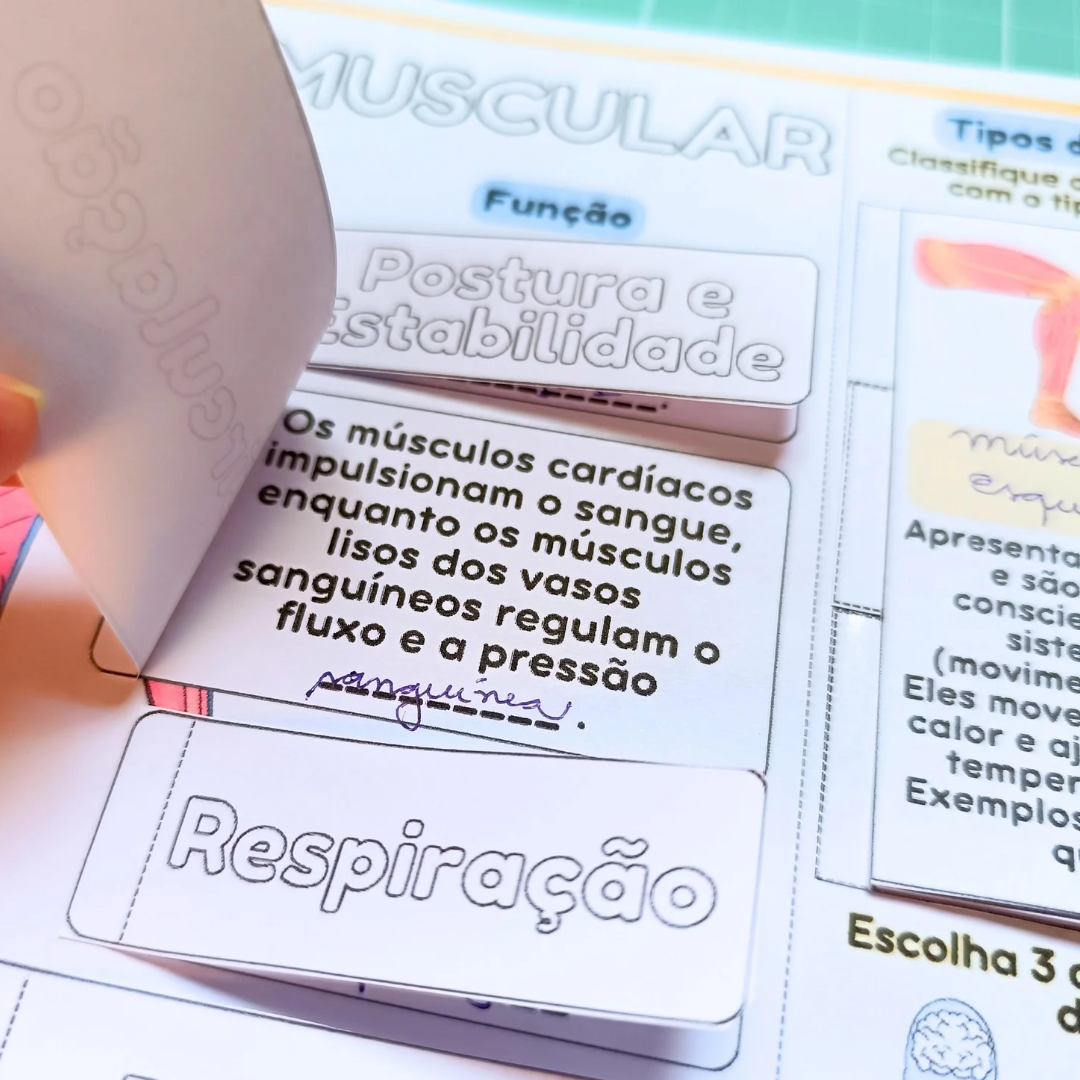 Sistema Muscular – PDF para Imprimir — amostra 1: O que vem no material