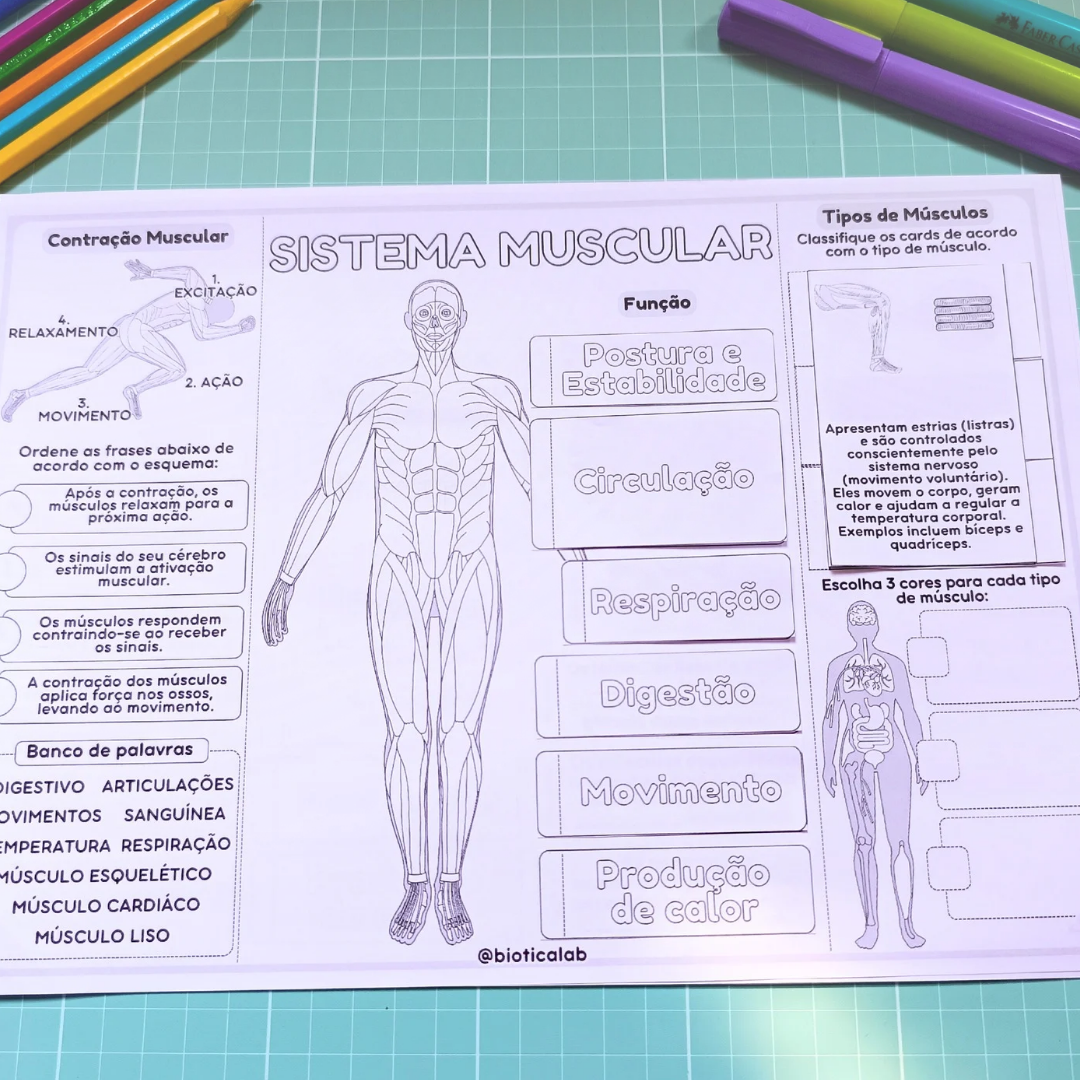 Sistema Muscular – PDF para Imprimir — amostra 2: Sobre o Sistema Muscular