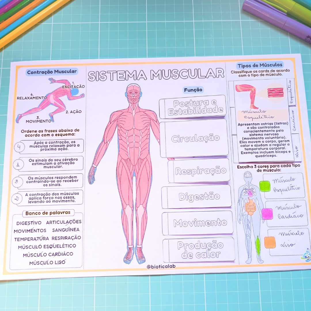 Sistema Muscular – PDF para Imprimir — amostra 7: https://youtu