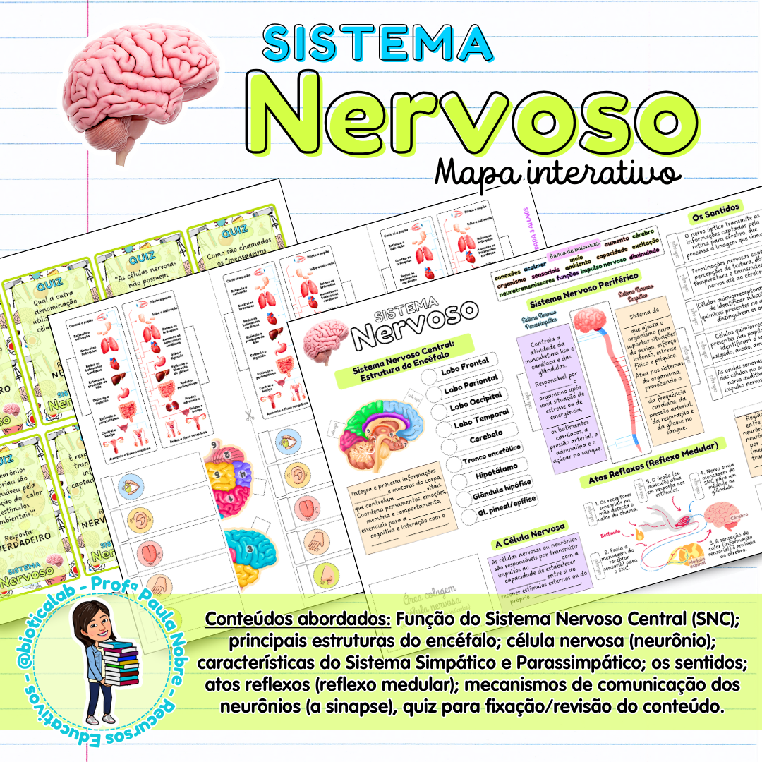 Sistema Nervoso - Mapa Interativo – PDF para Imprimir — capa do material