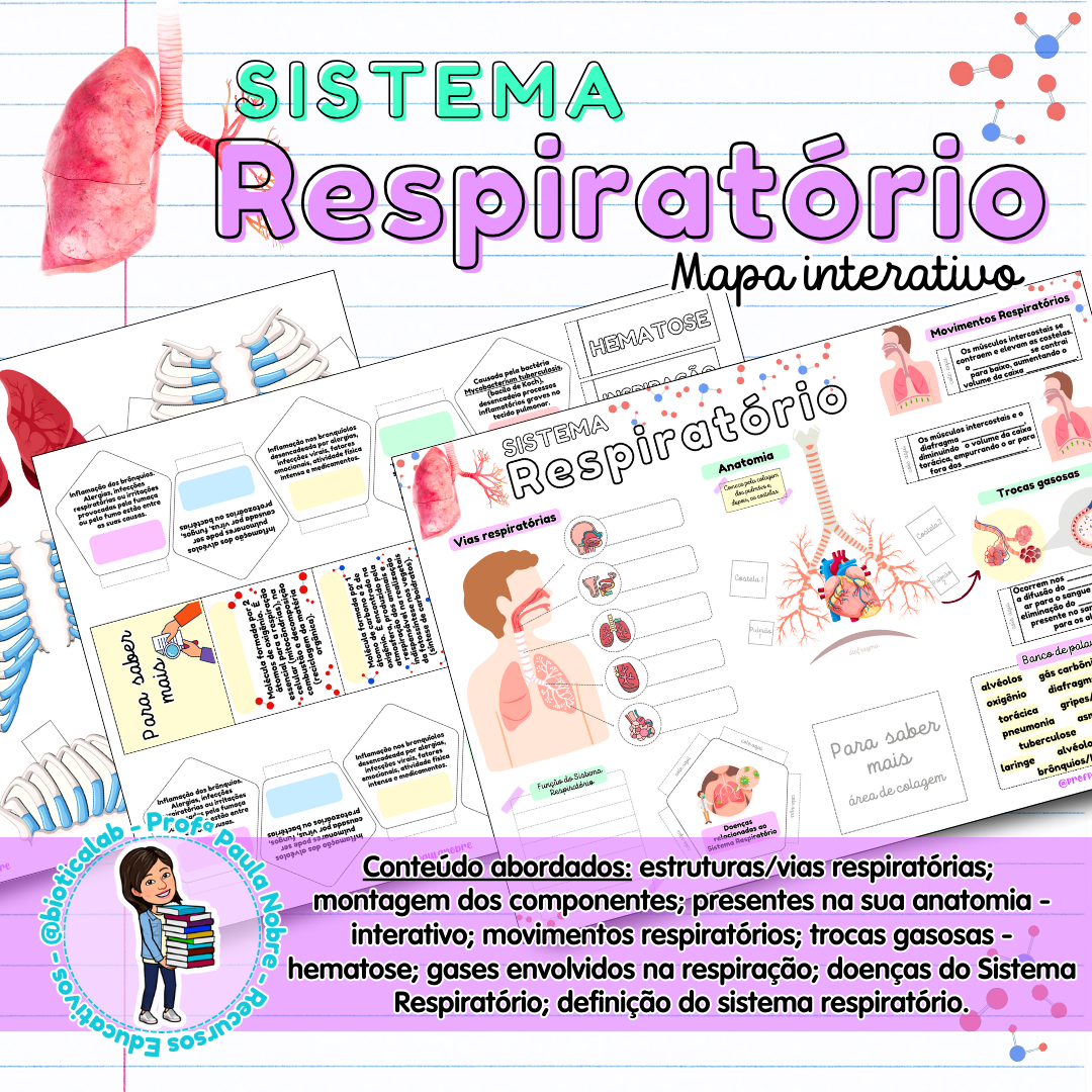 Sistema Respiratório - Mapa interativo – PDF para Imprimir — capa do material
