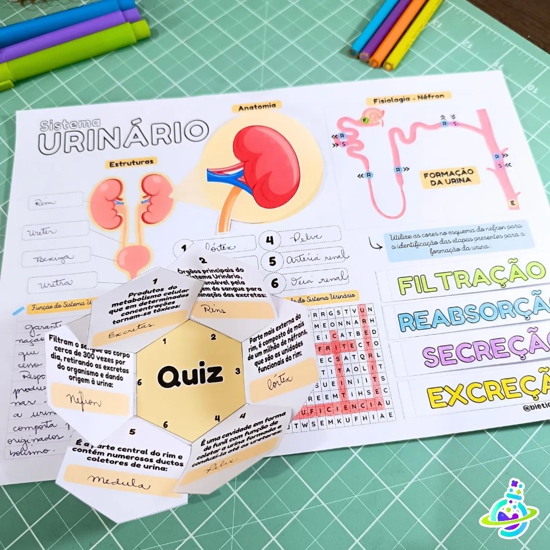 Sistema Urinário – PDF para Imprimir — amostra 1: O que vem no material Sistema Urinário – PDF para Imprimir — amostra 1: O que vem no material