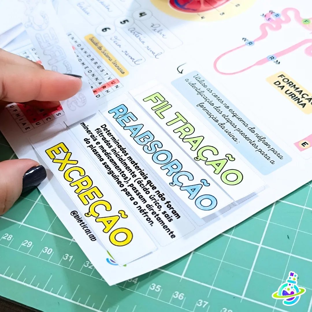 Sistema Urinário – PDF para Imprimir — amostra 4: https://youtube Sistema Urinário – PDF para Imprimir — amostra 4: https://youtube