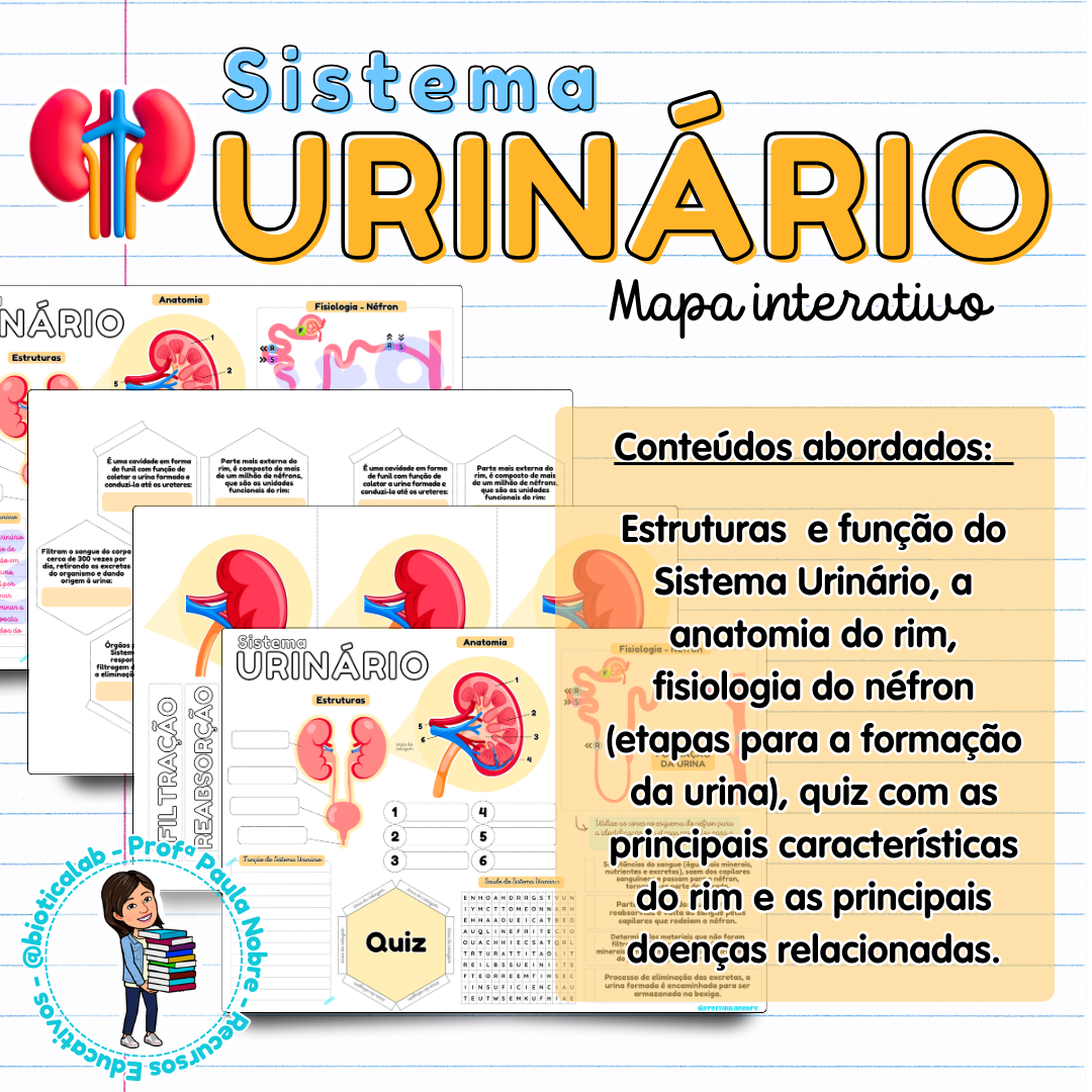 Sistema Urinário – PDF para Imprimir — capa do material