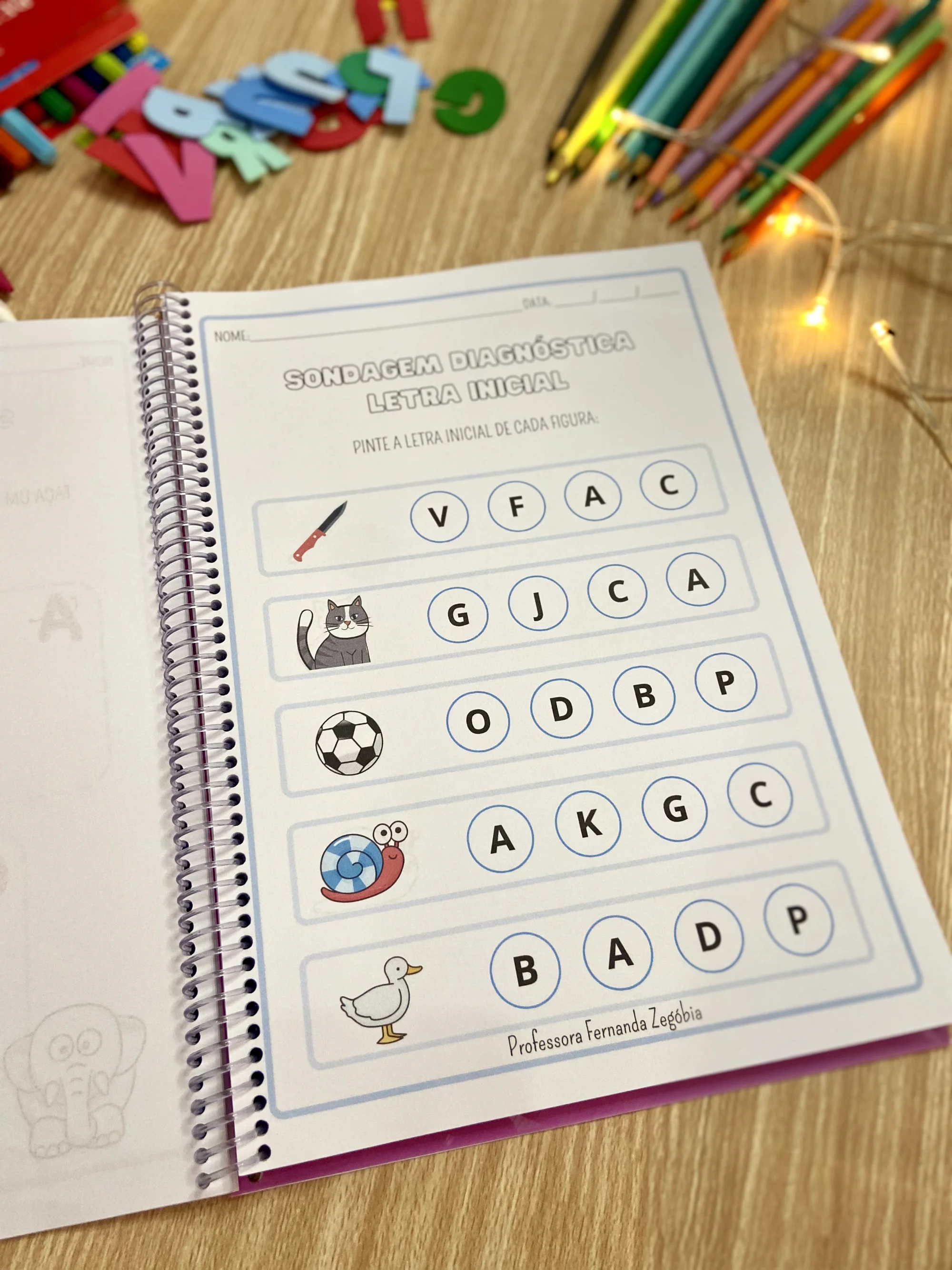 Sondagem Diagnóstica auxiliar para momento da sondagem — amostra 2: Hipótesede escrita