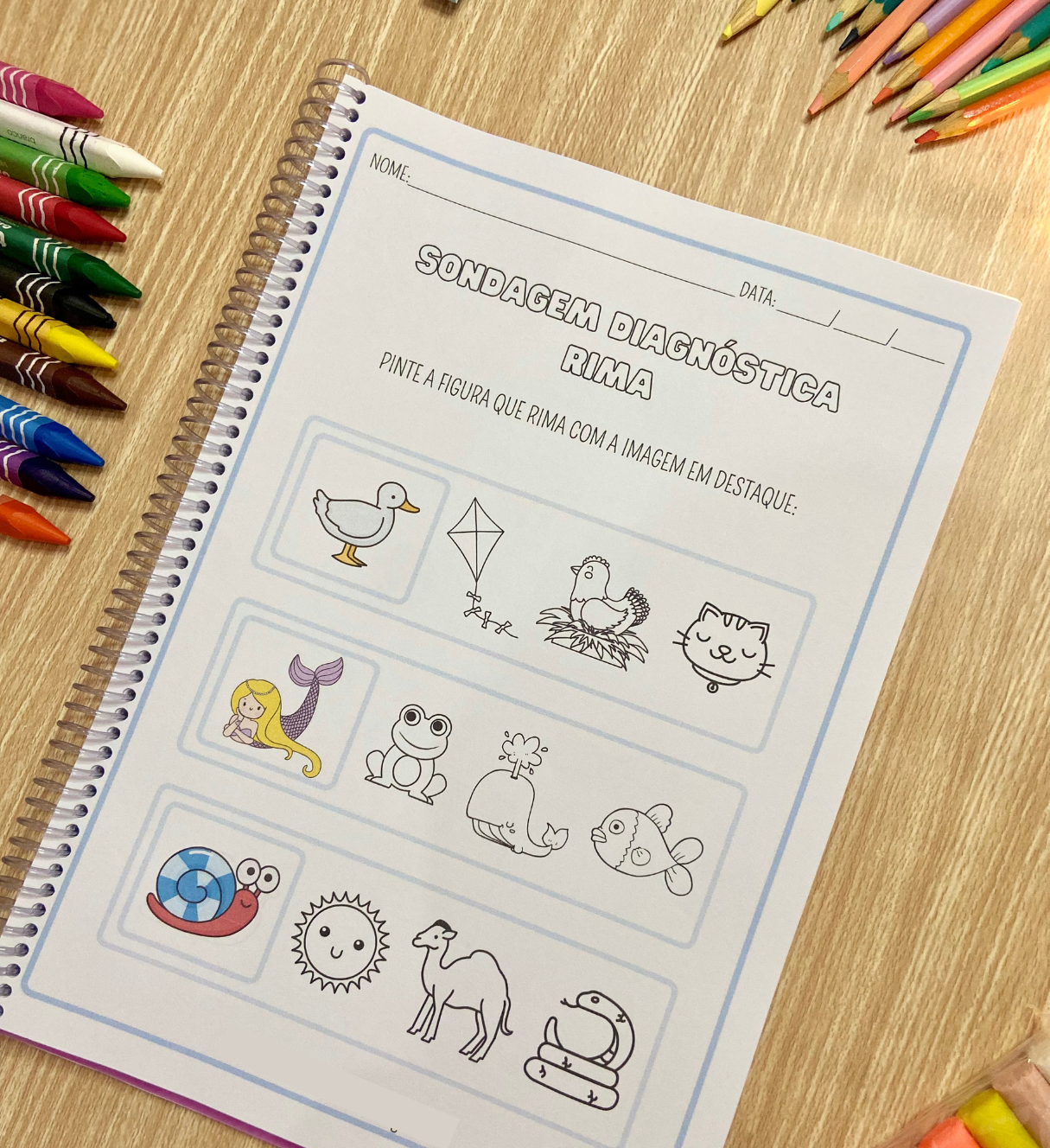 Sondagem diagnóstica para alfabetização: atividades e registros — amostra 5: Observe os conhecimentos da turma e planeje os…