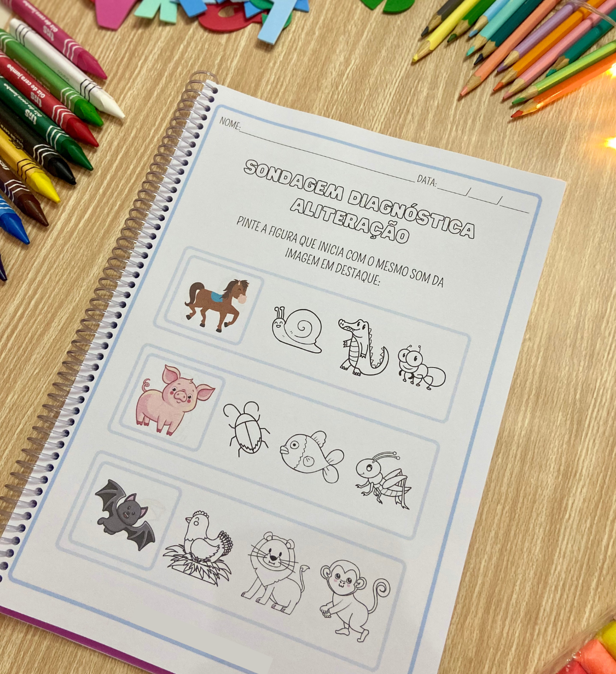 Sondagem diagnóstica para alfabetização: atividades e registros — amostra 7: Observe os conhecimentos da turma e planeje os…