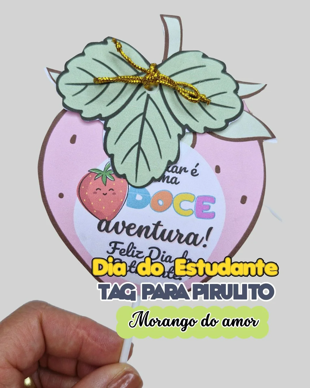 Tag para Pirulito Dia do Estudante – PDF para Imprimir — amostra 5: Surpreenda seus pequenos com essa tag irresistível para…