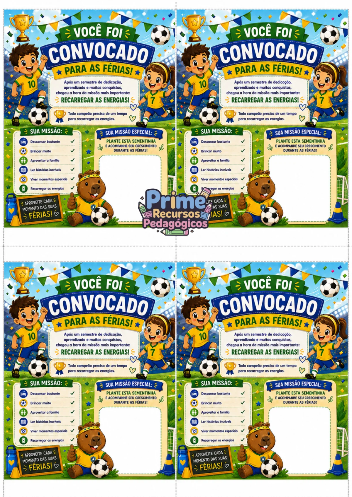 🏆 Você Foi Convocado Para As Férias! ⚽ — amostra 3: Depois de um semestre cheio de aprendizados, desafios e conquistas,…